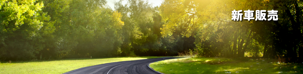 株式会社パンナウ新車販売